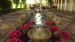 Patios tour in Cordoba