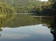 Private 4-hour Ecotour to Cantareira or Jaraguá Forest Reserve