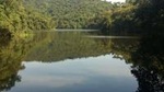Private 4-hour Ecotour to Cantareira or Jaraguá Forest Reserve
