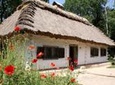 Private Guided Tour to Pirogovo Open-Air Museum from Kyiv