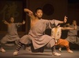 Private Tour: Beijing Cuisine Dinner and Chinese Kung Fu Show