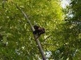 Private Tour: Fishermen and Pacoche Humid Forest Walking Tour