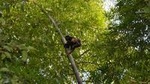 Private Tour: Fishermen and Pacoche Humid Forest Walking Tour
