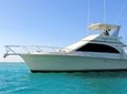 Punta Cana Private Fishing Charter boat Fortuna 42'