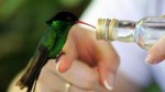 Rocklands Bird Sanctuary & City Highlights plus Shopping from Montego Bay