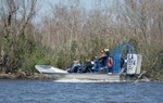 New Orleans Small Group Airboat Swamp Tour