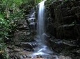 Tijuca Forest Hiking Tour including Waterfalls