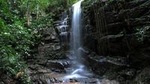Tijuca Forest Hiking Tour including Waterfalls