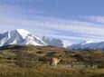 Puerto Natales: Full day tour Torres del Paine