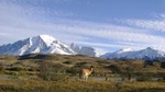Puerto Natales: Full day tour Torres del Paine