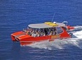 Whitehaven Beach and Hill Inlet Lookout Full-Day Snorkeling Cruise by High-Speed Catamaran