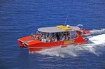 Whitehaven Beach and Hill Inlet Lookout Full-Day Snorkeling Cruise by High-Speed Catamaran