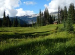 Hike to Indian Henry's Patrol Cabin, Mount Rainier National Park