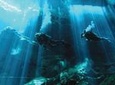 2-Tank Cenote Certified Dive in Tulum