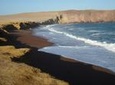 Ballestas Islands and Paracas National Reserve Day Trip from Paracas