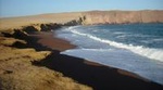 Ballestas Islands and Paracas National Reserve Day Trip from Paracas