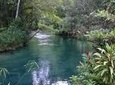 Blue Hole and River Gully Rainforest Adventure Tour from Montego Bay