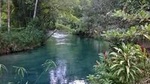 Blue Hole and River Gully Rainforest Adventure Tour from Montego Bay
