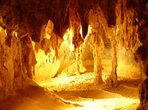 Chillagoe Caves and Outback Day Trip from Cairns