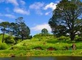 Day Tour Hobbiton + Rotorua from Auckland in Luxury Minibus + optional extras