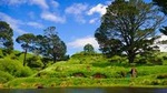 Day Tour Hobbiton + Rotorua from Auckland in Luxury Minibus + optional extras