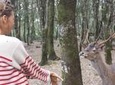 Cagliari: Is Cannoneris Nature Reserve Jeep and Walking Private Tour from Chia
