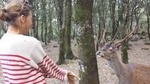 Cagliari: Is Cannoneris Nature Reserve Jeep and Walking Private Tour from Chia