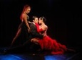 Rojo Tango Show with private transfers in Buenos Aires