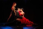 Rojo Tango Show with private transfers in Buenos Aires