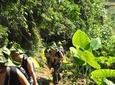 4-Day Jungle Trekking in Ba Be National Park