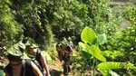 4-Day Jungle Trekking in Ba Be National Park