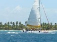 From Punta Cana: Saona Island & Altos de Chavon Day Trip with Lunch and Open Bar
