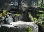 Drink at Callwood Rum Distillery, Tortola, BVI