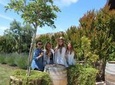 Napa Valley Wineries Tour Including Picnic Lunch