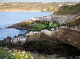 Ultimate Private San Diego Sightseeing Tour