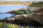Ultimate Private San Diego Sightseeing Tour