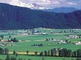 Private Tour: Vancouver Half Day Wine Tasting Tour