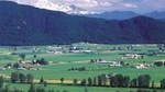 Private Tour: Vancouver Half Day Wine Tasting Tour