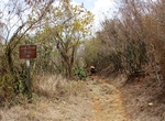 Hike Lind Point Trail, St John, USVI