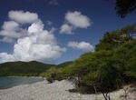 Snorkel Great Lameshur Bay (Yawzai Point), St John, USVI