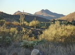 Visit Cave Creek, Arizona
