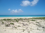 Explore Sandy Point National Wildlife Refuge, St. Croix, USVI