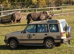 Explore West Midland Safari Park, Worcestershire, England