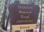 Camp at Belknap Campground, Giant Sequoia National Monument