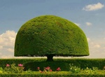 Visit Ladew Topiary Gardens, Monkton, Maryland