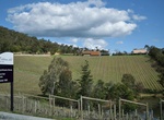 Wine Taste at Coldstream Hills, Gruyere, Victoria