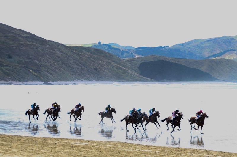 Castlepoint Beach Races