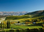 Wine Taste at Burn Cottage Vineyard, Central Otago, New Zealand