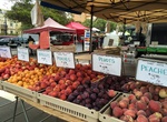 Shop at Mercato: Little Italy's Farmers Market, San Diego, California