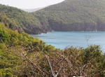 Snorkel or Dive Muskmelon Bay, Guana Island, BVI